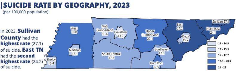 Suicide Geography Map