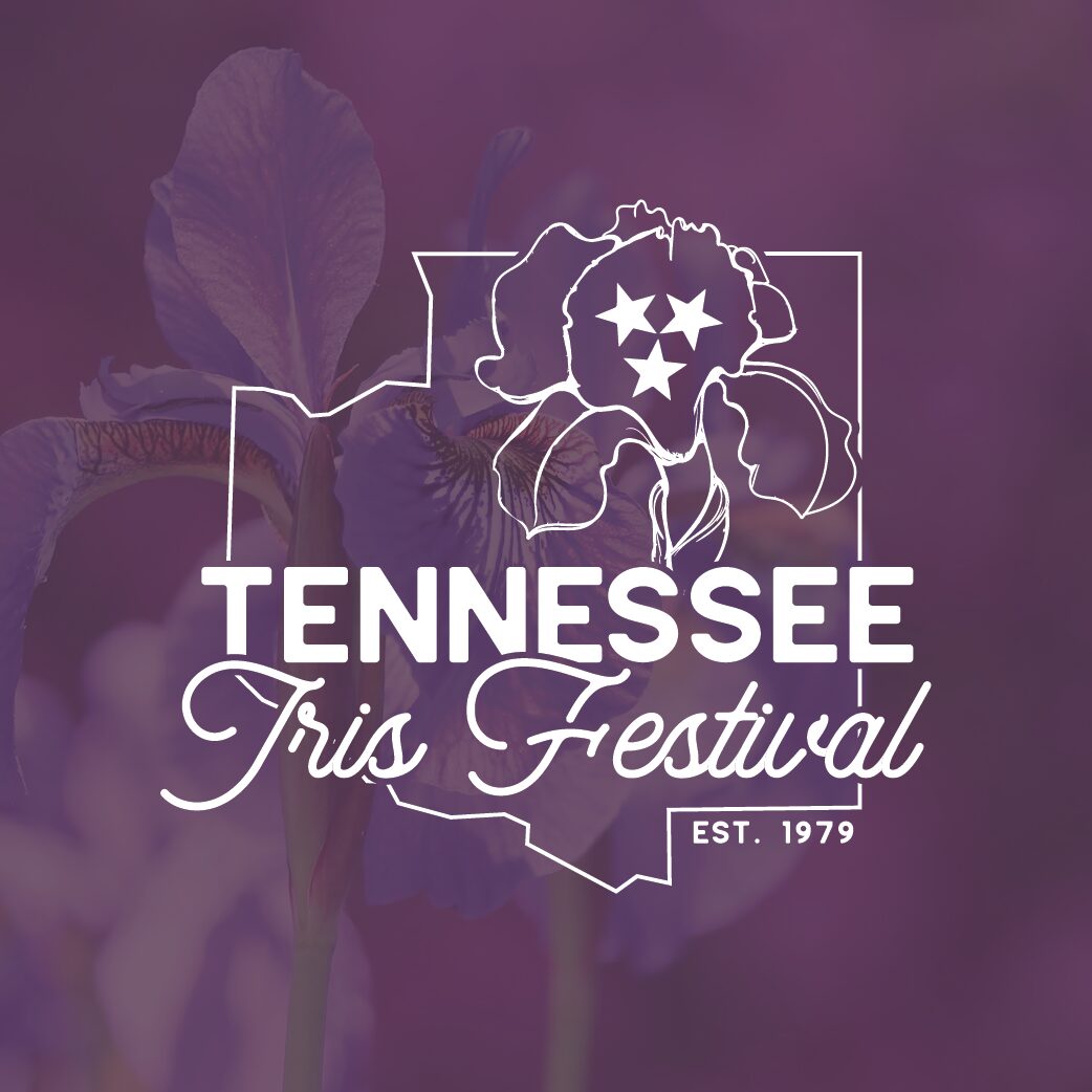 TN Iris Festival Community Night