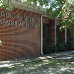 Adamsville Library Summer Reading Craft