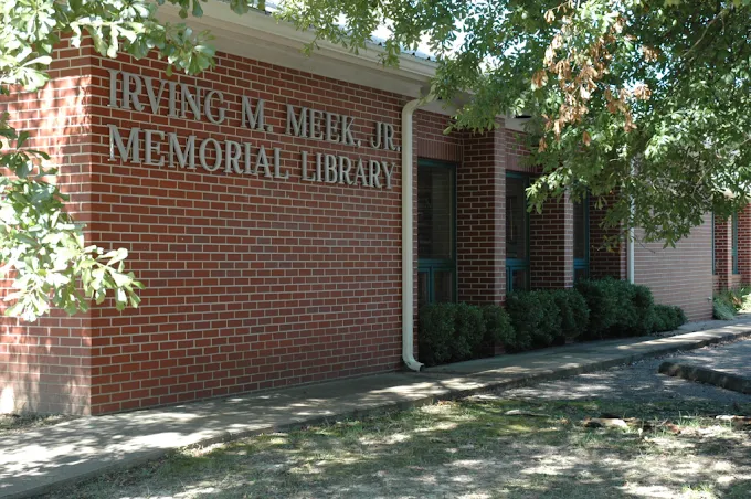 Adamsville Library Summer Reading Craft