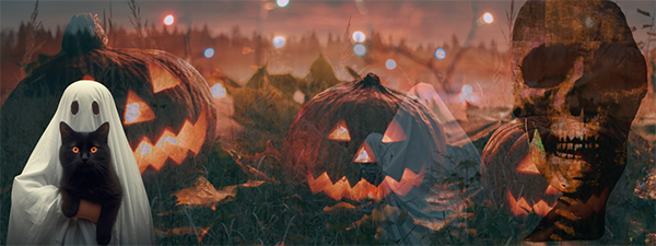 Smyrna's Halloween in the Park